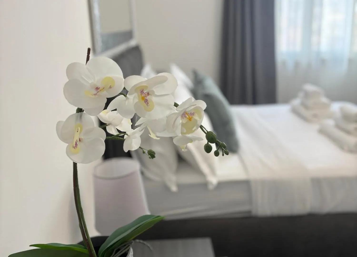 Travel House Apartment Rome